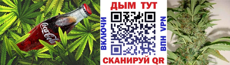 как найти закладки  Старый Оскол  Cannafood марихуана 