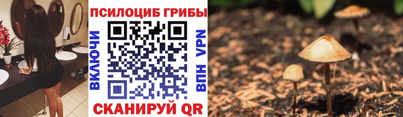 закладки Старый Оскол мориарти официальный сайт Галлюциногенные грибы Cubensis
